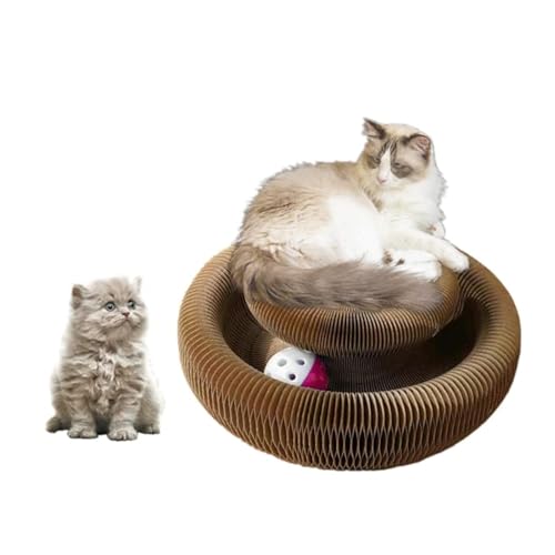 NIEBYI Magic Organ Katzenkratzbrett, Katzenballabenteuer, die ultimative interaktive geistige körperliche Übung für Indoor-Katzenspielzeug NIEBYI Magic Organ Katzenkratzbrett, Katzenballabenteuer, die ultimative interaktive geistige körperliche Übung für Indoor-Katzenspielzeug von NIEBYI