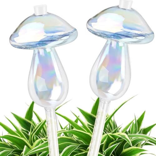 2 Stück Bewässerungskugeln Pilze, Wassertropfen Pilz Selbstbewässernde, Wasserspender Pflanzen Bunte Glas Pflanzenbewässerungskugeln Glas Bewässerungsspieß für Zimmerpflanzen, Garten und Balkon 2 Stück Bewässerungskugeln Pilze, Wassertropfen Pilz Selbstbewässernde, Wasserspender Pflanzen Bunte Glas Pflanzenbewässerungskugeln Glas Bewässerungsspieß für Zimmerpflanzen, Garten und Balkon von NIEEKRUN