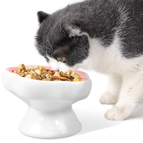 Erhöhter Katzennapf aus Keramik, 230 ml, geneigt, um 15° erhöht, Anti-Erbrechen, flacher Futternapf für Haustiere, trockenes Nassfutter, mikrowellen- und spülmaschinenfest (weiß) von NIHUIFDPY