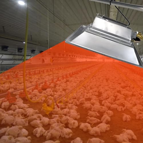 Hühnerstall-Heizung, Wandmontierte Geflügelfarm-Heizgeräte, Gewächshaus-Hühnerfarm, Infrarot-Gasbrüterheizung Für Küken Entenküken Wachtel Gans Tier,Natural Gas von NILoykg&