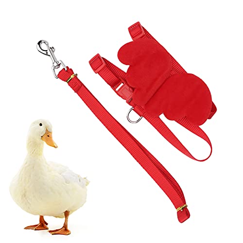 Entenlaufgurt und Leine Enten Traktionsseil Verstellbare Brustgurt Entenzubehör Außerhalb des Wandergurtes Leine für Enten, Hühner, Gänse (M) von NINESHE