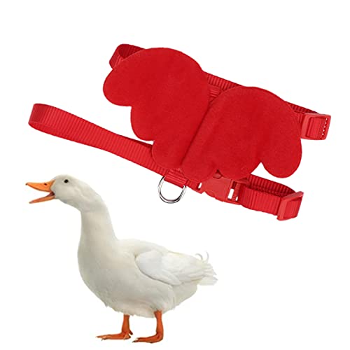 Entenlaufgurt und Leine Enten Traktionsseil Verstellbare Brustgurt Entenzubehör Außerhalb des Wandergurtes Leine für Enten, Hühner, Gänse (S) von NINESHE