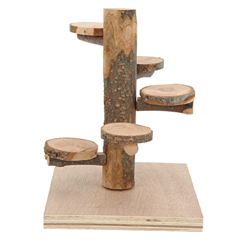 Hamsterklettern Holzständer Plattform Klein Tiere Aktivität Spielplatz für Mini Haustiere Wie Hamsters Ratten Haustiere Zum Klettern und Spielen Hamsterklettern Holzständer Plattform Klein Tiere Aktivität Spielplatz für Mini Haustiere Wie Hamsters Ratten Haustiere Zum Klettern und Spielen von NINESHE