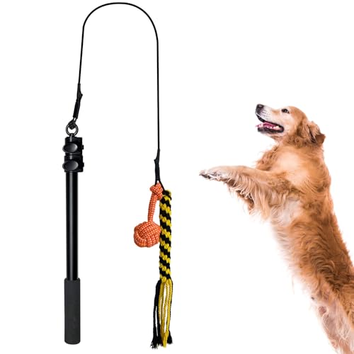 NINESHE Flirt Pole Spielzeug für Kleine Mittelgroße Hunde, Ausziehbarer Haustierflirtstabstabstange mit Elastischer Schnur für Hunde Außerhalb der Beweglichkeit Bewegung und Training NINESHE Flirt Pole Spielzeug für Kleine Mittelgroße Hunde, Ausziehbarer Haustierflirtstabstabstange mit Elastischer Schnur für Hunde Außerhalb der Beweglichkeit Bewegung und Training von NINESHE