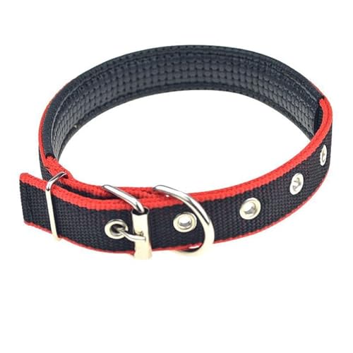 Hunde- und Katzenhalsband mit Legierungsschnalle, größenverstellbares Halsband für kleine und mittelgroße Hunde, Heimtierbedarf, Haustierhalsband, weiches Leder, 2,5 x 55 cm, China Hunde- und Katzenhalsband mit Legierungsschnalle, größenverstellbares Halsband für kleine und mittelgroße Hunde, Heimtierbedarf, Haustierhalsband, weiches Leder, 2,5 x 55 cm, China von NITONAMI