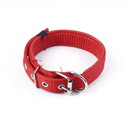 Hunde- und Katzenhalsband mit Legierungsschnalle, größenverstellbares Halsband für kleine und mittelgroße Hunde, Heimtierbedarf, Haustierhalsband, weiches Leder, 2,5 x 55 cm, China Hunde- und Katzenhalsband mit Legierungsschnalle, größenverstellbares Halsband für kleine und mittelgroße Hunde, Heimtierbedarf, Haustierhalsband, weiches Leder, 2,5 x 55 cm, China von NITONAMI