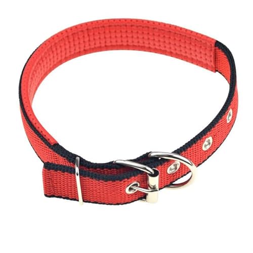 Hunde- und Katzenhalsband mit Legierungsschnalle, größenverstellbares Halsband für kleine und mittelgroße Hunde, Heimtierbedarf, Hundehalsband, weiches Leder, rot, schwarz, 2,5 x 55 cm, China Hunde- und Katzenhalsband mit Legierungsschnalle, größenverstellbares Halsband für kleine und mittelgroße Hunde, Heimtierbedarf, Hundehalsband, weiches Leder, rot, schwarz, 2,5 x 55 cm, China von NITONAMI