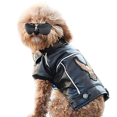 NIULA Lederjacke für Hunde, niedliche Lederjacken, Motorradkleidung mit Knöpfen, wasserdichter Wintermantel für kleine, mittelgroße Hunde (Schwarz, XS) von NIULA