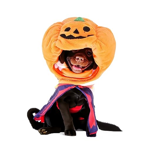 Halloween-Kürbis-Haustiermütze, Cosplay-Party-Requisiten-Kostüm, Zubehör, süßes Welpen-Katzen-Kostüm von NIXBYO