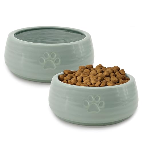 NIXBYO Keramik Hundenapf Set - Hundefutter und Wassernapf - Grün NIXBYO Keramik Hundenapf Set - Hundefutter und Wassernapf - Grün von NIXBYO
