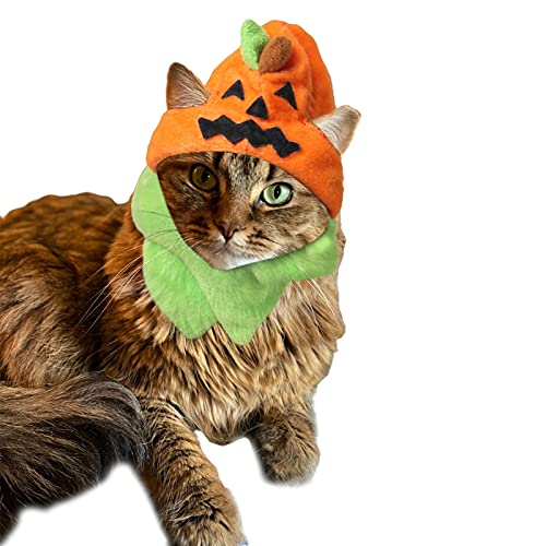 NIXBYO Halloween-Kürbis-Katzenhut, verstellbar, Kürbis-Hut, Cosplay für Kätzchen, klein von NIXBYO