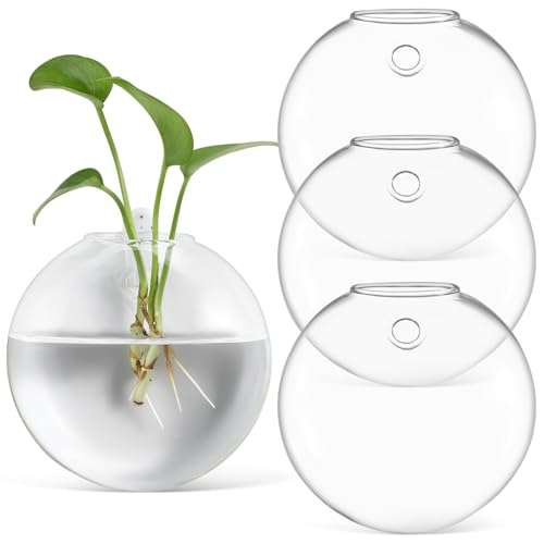 NIYANGLE Wandvasen 4 Stcs Wandhänge -Pflanzer -Propagationsstation Oblate Plant Terrarium Blütenhalter Für Hydrokulturpflanzen Bad Wohnzimmer -Wohnzimmerdekoration von NIYANGLE