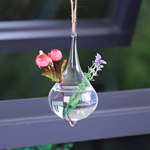 NIZUUONE Hängendes Glas-Terrarium Im Tropfen-Design, für Luftpflanzen oder Sukkulenten Als Innen- oder Außendekoration von NIZUUONE