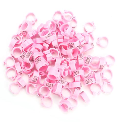NIZUUONE 100 Stücke/8 Mm Bagnummer Kunststoff Buchstaben Beine Ringe Einfache Klemme/Halterdesign für Erwachsene Vögel 400 G (Rosenate) von NIZUUONE