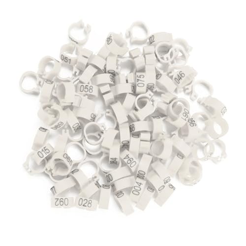 NIZUUONE 100 Stücke/8 Mm Bagnummer Kunststoff Buchstaben Beine Ringe Einfache Klemme/Halterdesign für Erwachsene Vögel 400 G (White) von NIZUUONE