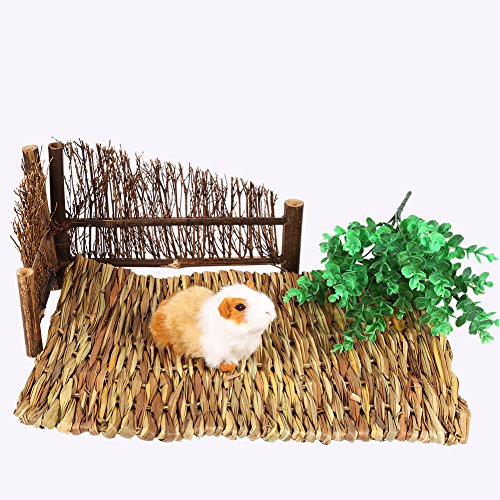 NIZUUONE Hamster Rabbit Guinea-Pig-Grasmatte, Ungiftiges Kauenpad für Ruhespielzähne, Geeignet für Kleine Haustiere, Erhältlich in 2 Größen Erhältlich (L) von NIZUUONE