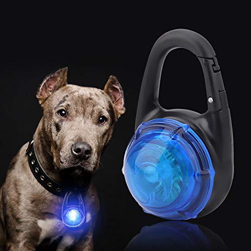 NIZUUONE Modische LED -Hundekette (Blue) von NIZUUONE