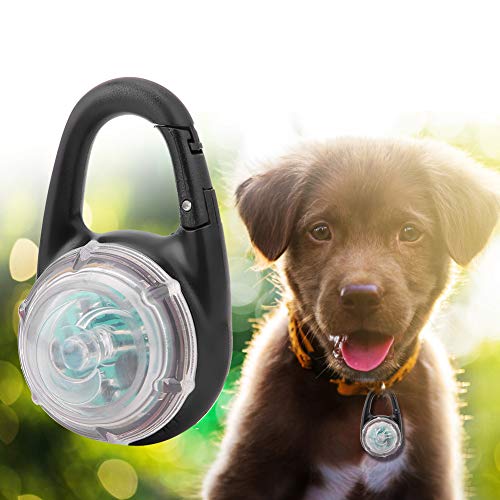 NIZUUONE Modische LED -Hundekette (Mehrfarbig) von NIZUUONE