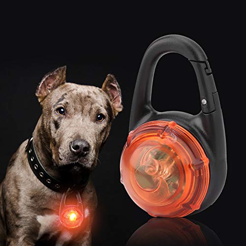 NIZUUONE Modische LED -Hundekette (ORANGE) von NIZUUONE
