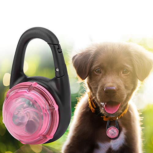 NIZUUONE Modische LED -Hundekette (Rosenate) von NIZUUONE