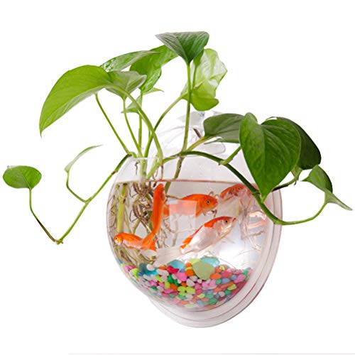 Wand Hängende Fischtank -Acryl -Wandmontage Fischschüssel Hanging Dekorationsbehälter 5,90 Zoll Durchmesser mit Unsichtbaren Nägeln für Pflanzen oder Fisch (Sortierte Farbe) von NIZUUONE