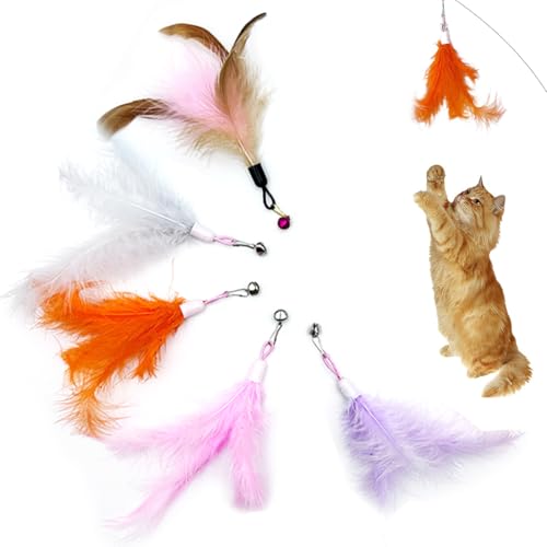 NJCXOLA 5 Stück Cat Feather Toys Ersatz, katzenspielzeug, Federspielzeug für Katzen Spielzeug, Katzenangel, inklusive Nachfüllungen für natürliche Katzenfedern NJCXOLA 5 Stück Cat Feather Toys Ersatz, katzenspielzeug, Federspielzeug für Katzen Spielzeug, Katzenangel, inklusive Nachfüllungen für natürliche Katzenfedern von NJCXOLA