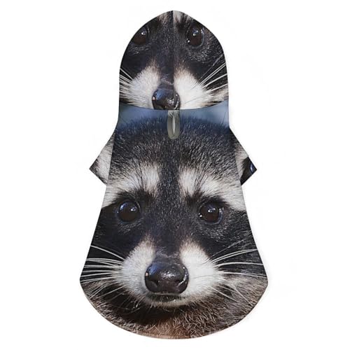 Niedlicher Waschbär, süßes Katzenkostüm, Hunde-Kapuzenpullover, Haustier-Outfit für kleine, mittelgroße Hunde und Katzen, XL Niedlicher Waschbär, süßes Katzenkostüm, Hunde-Kapuzenpullover, Haustier-Outfit für kleine, mittelgroße Hunde und Katzen, XL von NLWQEKV