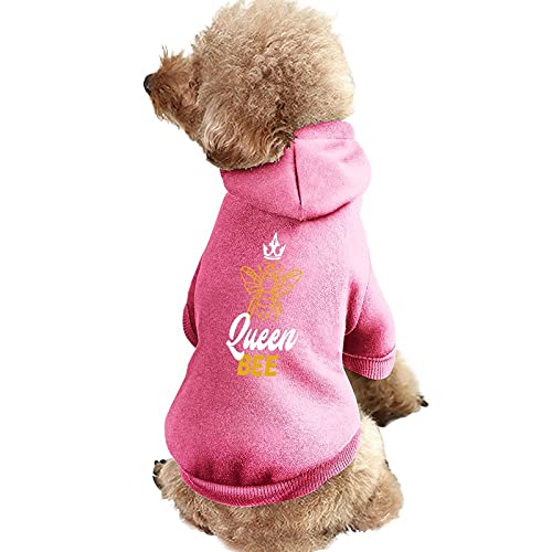 Queen Bee Hunde-Sweatshirt, Warmer Haustier-Kapuzenpullover für Katzen und Hunde von NLWQEKV