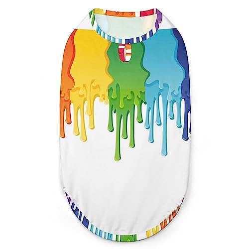 Regenbogenfarbene, bemalte Hunde-Shirts, Haustier-Sweatshirt, Geburtstagsgeschenk, Kleidung, T-Shirt, ärmelloses Sommer-Tanktop für Welpen und Katzen von NLWQEKV