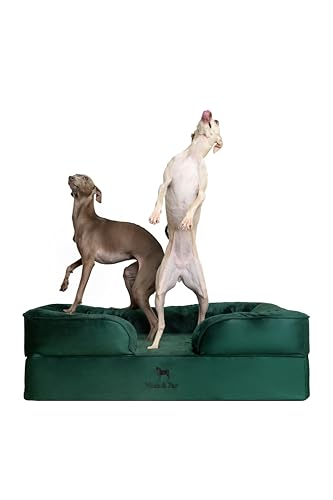 NOAH & PAW Großes Hundebett, orthopädisches Hundebett, Eierschalen-Memory-Schaum mit kühlendem Gel, Innenbezug, wasserdicht, maschinenwaschbar (Samt-Sofa-Kollektion) von NOAH & PAW