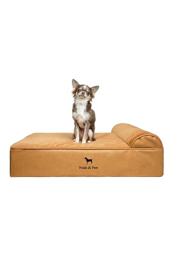 NOAH & PAW Hundebett, orthopädisches Hundebett für mittelgroße Haustiere, Eierschalen-Memory-Schaum mit Kühlgel, wasserdicht, maschinenwaschbar, inklusive Innenbezug (veganes Leder) von NOAH & PAW
