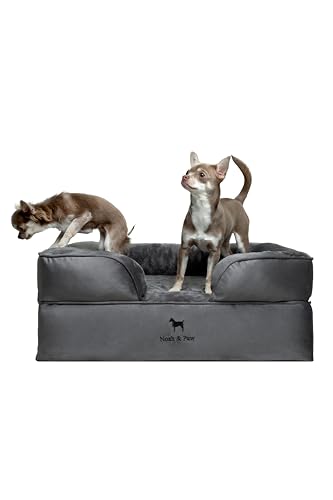NOAH & PAW Hundebett, orthopädisches Hundebett für mittelgroße Haustiere, Eierschalen-Memory-Schaum mit kühlendem Gel, Innenbezug, wasserdicht, maschinenwaschbar (Samt-Sofa-Kollektion) von NOAH & PAW