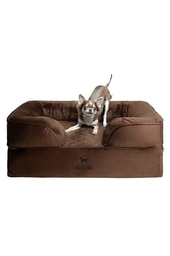NOAH & PAW Hundebett, orthopädisches Hundebett für mittelgroße Haustiere, Eierschalen-Memory-Schaum mit kühlendem Gel, Innenbezug, wasserdicht, maschinenwaschbar (Samt-Sofa-Kollektion) von NOAH & PAW