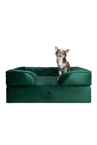NOAH & PAW Hundebett, orthopädisches Hundebett für mittelgroße Haustiere, Eierschalen-Memory-Schaum mit kühlendem Gel, Innenbezug, wasserdicht, maschinenwaschbar (Samt-Sofa-Kollektion) von NOAH & PAW