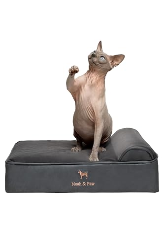 NOAH & PAW Kleines Hundebett, 50,8 x 38,1 x 20,3 cm, Katzenbett für Indoor-Katzen, orthopädischer Eierschalen-Memory-Schaum mit Kühlgel, wasserdicht, maschinenwaschbar, inklusive Innenbezug (veganes von NOAH & PAW