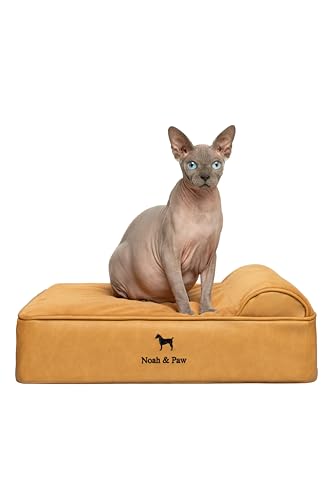 NOAH & PAW Kleines Hundebett, 50,8 x 38,1 x 20,3 cm, Katzenbett für Indoor-Katzen, orthopädischer Eierschalen-Memory-Schaum mit Kühlgel, wasserdicht, maschinenwaschbar, inklusive Innenbezug (veganes NOAH & PAW Kleines Hundebett, 50,8 x 38,1 x 20,3 cm, Katzenbett für Indoor-Katzen, orthopädischer Eierschalen-Memory-Schaum mit Kühlgel, wasserdicht, maschinenwaschbar, inklusive Innenbezug (veganes von NOAH & PAW