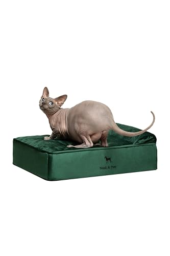 NOAH & PAW Kleines Hundebett, 50,8 x 38,1 x 20,3 cm, Katzenbett für Indoor-Katzen, orthopädischer Eierschalen-Memory-Schaum mit Kühlgel, wasserdicht, maschinenwaschbar, inklusive Innenbezug von NOAH & PAW