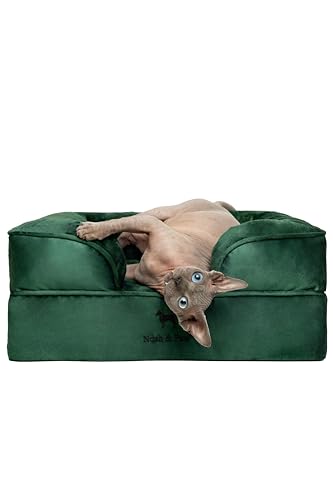 NOAH & PAW Kleines Hundebett, 50,8 x 38,1 x 20,3 cm, Katzenbett für Indoor-Katzen, orthopädischer Eierschalen-Memory-Schaum mit kühlendem Gel, wasserdichter Innenbezug, maschinenwaschbar (Velvet NOAH & PAW Kleines Hundebett, 50,8 x 38,1 x 20,3 cm, Katzenbett für Indoor-Katzen, orthopädischer Eierschalen-Memory-Schaum mit kühlendem Gel, wasserdichter Innenbezug, maschinenwaschbar (Velvet von NOAH & PAW