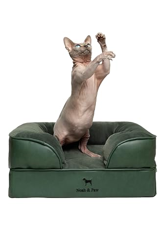 NOAH & PAW Kleines Hundebett, 50,8 x 38,1 x 20,3 cm, Katzenbett für Indoor-Katzen, orthopädischer Eierschalen-Memory-Schaum mit kühlendem Gel, wasserdichter Innenbezug, maschinenwaschbar (vegane NOAH & PAW Kleines Hundebett, 50,8 x 38,1 x 20,3 cm, Katzenbett für Indoor-Katzen, orthopädischer Eierschalen-Memory-Schaum mit kühlendem Gel, wasserdichter Innenbezug, maschinenwaschbar (vegane von NOAH & PAW