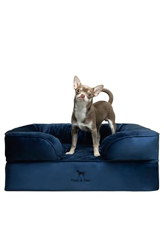NOAH & PAW Mittelgroßes Hundebett 27,9 cm dick, orthopädisch, Eierschalen-Memory-Schaum mit kühlendem Gel, Hundebetten für mittelgroße und kleine Hunde mit Innenbezug, wasserdicht, maschinenwaschbar NOAH & PAW Mittelgroßes Hundebett 27,9 cm dick, orthopädisch, Eierschalen-Memory-Schaum mit kühlendem Gel, Hundebetten für mittelgroße und kleine Hunde mit Innenbezug, wasserdicht, maschinenwaschbar von NOAH & PAW