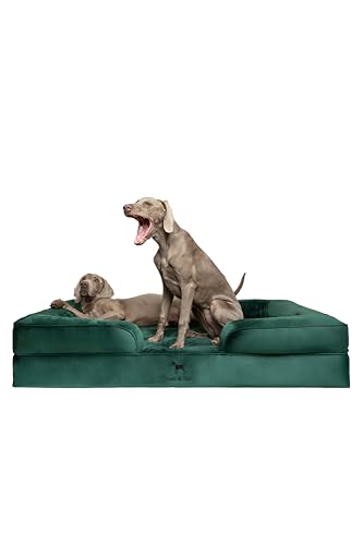 NOAH & PAW Riesiges Hundebett, XXL, 140 x 114 x 27 cm, orthopädisches Hundebett, Eierschalen-Memory-Schaum mit kühlendem Gel, Innenbezug, wasserdicht, maschinenwaschbar (Samt-Sofa-Kollektion) von NOAH & PAW