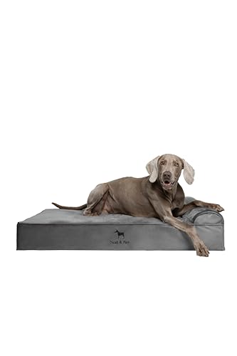 NOAH & PAW XL Hundebett, orthopädisches großes Hundebett, Eierschalen-Memory-Schaum mit Kühlgel, wasserdicht, maschinenwaschbar, inklusive Innenbezug (Samt-Kollektion) von NOAH & PAW