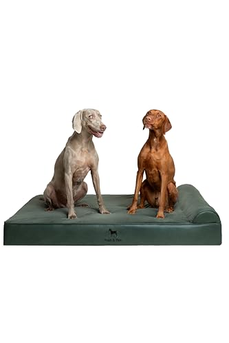 NOAH & PAW XL Hundebett, orthopädisches großes Hundebett, Eierschalen-Memory-Schaum mit Kühlgel, wasserdicht, maschinenwaschbar, inklusive Innenbezug (veganes Leder) von NOAH & PAW