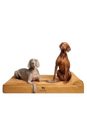 NOAH & PAW XL Hundebett, orthopädisches großes Hundebett, Eierschalen-Memory-Schaum mit Kühlgel, wasserdicht, maschinenwaschbar, inklusive Innenbezug (veganes Leder) von NOAH & PAW