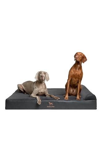 NOAH & PAW XL Hundebett, orthopädisches großes Hundebett, Eierschalen-Memory-Schaum mit Kühlgel, wasserdicht, maschinenwaschbar, inklusive Innenbezug (Kunstleder) von NOAH & PAW