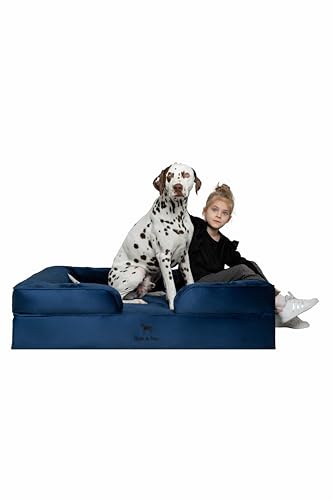 NOAH & PAW XL-Hundebett, orthopädisches großes Hundebett, Eierschalen-Memory-Schaum mit kühlendem Gel, Innenbezug, wasserdicht, maschinenwaschbar (Samt-Sofa-Kollektion) von NOAH & PAW