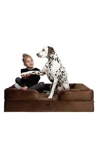NOAH & PAW XL-Hundebett, orthopädisches großes Hundebett, Eierschalen-Memory-Schaum mit kühlendem Gel, Innenbezug, wasserdicht, maschinenwaschbar (Samt-Sofa-Kollektion) von NOAH & PAW