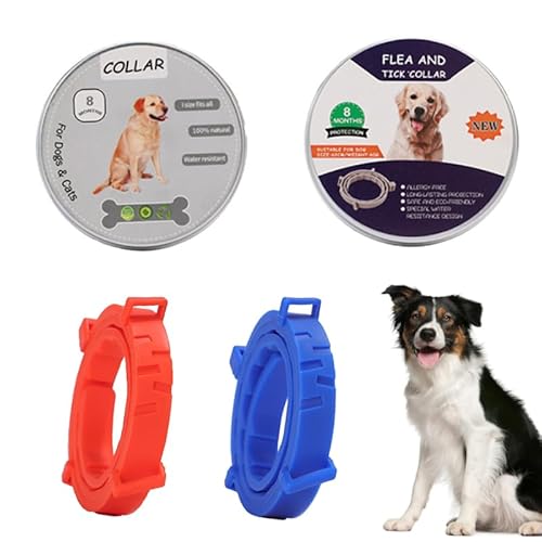 NOLACE Beruhigungshalsband Für Katzen Und Hunde, Beruhigendes Pheromonen Halsband, Verstellbare Größe, Sicher Wasserdicht Beruhigungsmittel Lindert Angst Bei Katze Und Hunden(2 Stücke)(orange. blau) von NOLACE