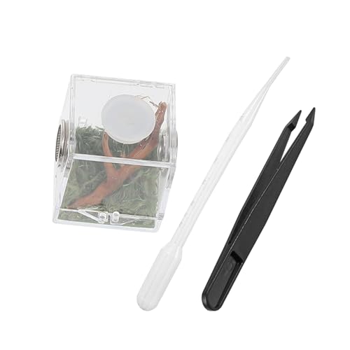 NOLITOY 1 Satz Transparente Zuchtbox für Reptilien und Spinnen Kleiner Terrarium Behälter aus Robustem mit Belüftung für Optimale Tierhaltung NOLITOY 1 Satz Transparente Zuchtbox für Reptilien und Spinnen Kleiner Terrarium Behälter aus Robustem mit Belüftung für Optimale Tierhaltung von NOLITOY