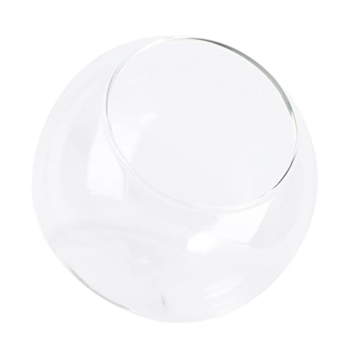 NOLITOY 1 Stück Öko-flaschenornamente Mikrolandschaft Terrarium Hochzeit Pflanzen Baum Einfach Drinnen Elegant Winzig Container Treibholz Mini Klein Kugelpflanzer Terrarium Glas von NOLITOY